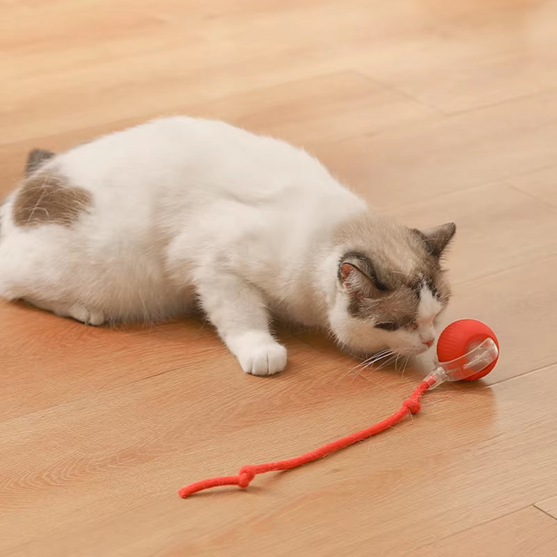 Interactive Plush Cat Toy Ball - Rolling & Teasing Motion for Active Play - VOLARA Supply