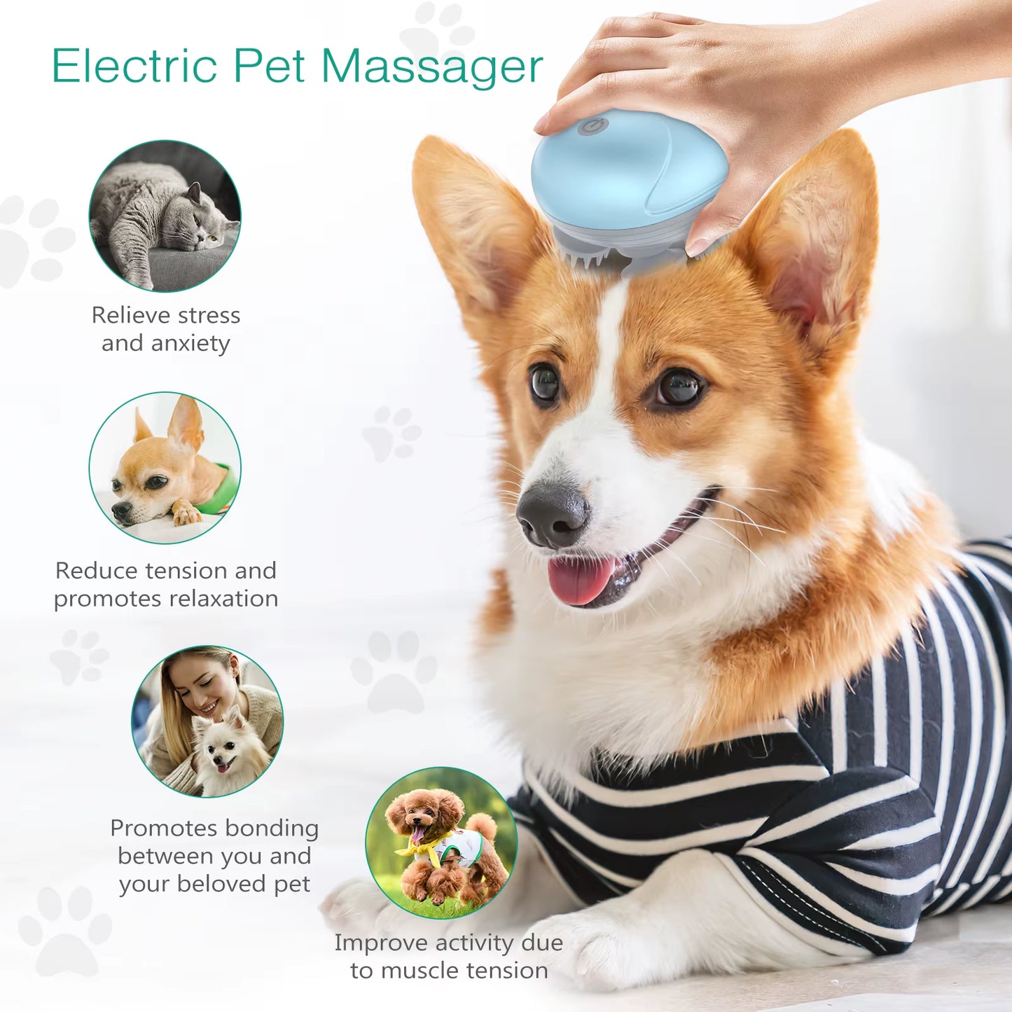 Electric Pet Massager – Handheld Relaxation & Hair Growth Device for Cats and Dogs - VOLARA Supply