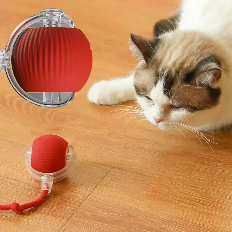 Interactive Plush Cat Toy Ball - Rolling & Teasing Motion for Active Play - VOLARA Supply