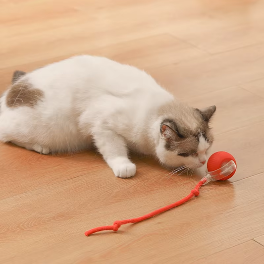 Interactive Plush Cat Toy Ball - Rolling & Teasing Motion for Active Play