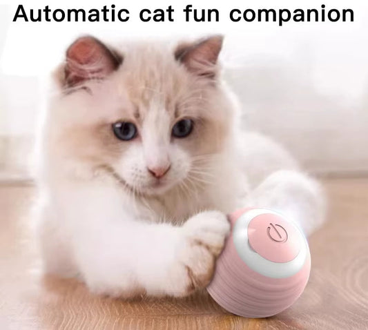 Interactive Electric Cat Ball - Self-Moving Toy for Active Play & Training